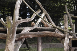 die kleinen s&uuml;&szlig;en